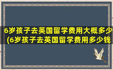 6岁孩子去英国留学费用大概多少(6岁孩子去英国留学费用多少钱)