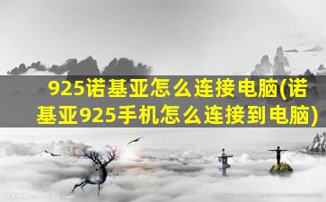 925诺基亚怎么连接电脑(诺基亚925手机怎么连接到电脑)