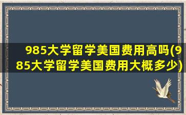 985大学留学美国费用高吗(985大学留学美国费用大概多少)