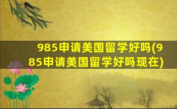 985申请美国留学好吗(985申请美国留学好吗现在)