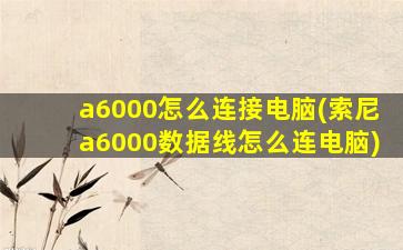 a6000怎么连接电脑(索尼a6000数据线怎么连电脑)