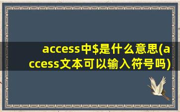 access中$是什么意思(access文本可以输入符号吗)