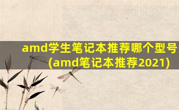 amd学生笔记本推荐哪个型号(amd笔记本推荐2021)