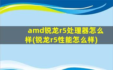 amd锐龙r5处理器怎么样(锐龙r5性能怎么样)