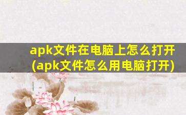 apk文件在电脑上怎么打开(apk文件怎么用电脑打开)