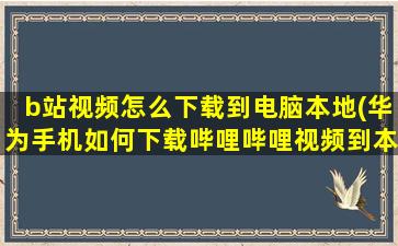 b站视频怎么下载到电脑本地(华为手机如何下载哔哩哔哩视频到本地)