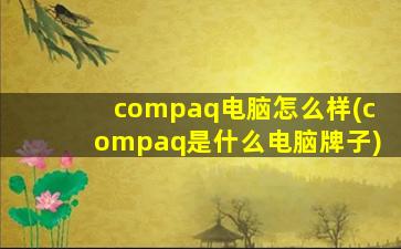 compaq电脑怎么样(compaq是什么电脑牌子)