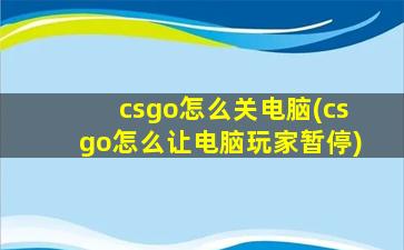 csgo怎么关电脑(csgo怎么让电脑玩家暂停)