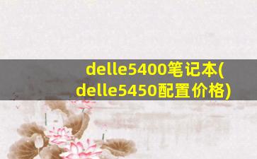 delle5400笔记本(delle5450配置价格)