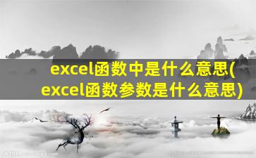 excel函数中是什么意思(excel函数参数是什么意思)