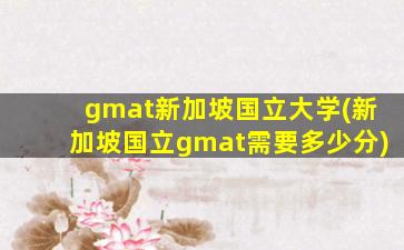 gmat新加坡国立大学(新加坡国立gmat需要多少分)