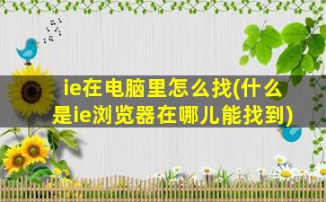 ie在电脑里怎么找(什么是ie浏览器在哪儿能找到)