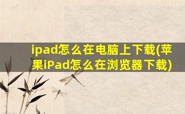 ipad怎么在电脑上下载(苹果iPad怎么在浏览器下载)