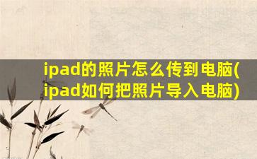 ipad的照片怎么传到电脑(ipad如何把照片导入电脑)