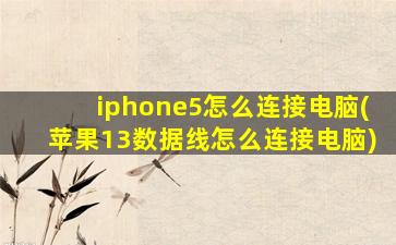 iphone5怎么连接电脑(苹果13数据线怎么连接电脑)