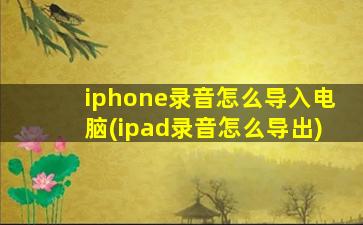 iphone录音怎么导入电脑(ipad录音怎么导出)