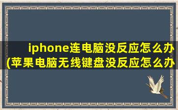 iphone连电脑没反应怎么办(苹果电脑无线键盘没反应怎么办)