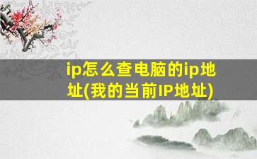 ip怎么查电脑的ip地址(我的当前IP地址)