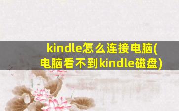 kindle怎么连接电脑(电脑看不到kindle磁盘)