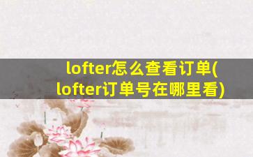 lofter怎么查看订单(lofter订单号在哪里看)