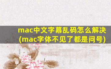 mac中文字幕乱码怎么解决(mac字体不见了都是问号)