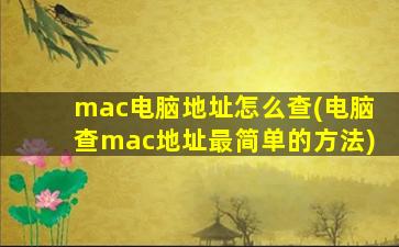 mac电脑地址怎么查(电脑查mac地址最简单的方法)