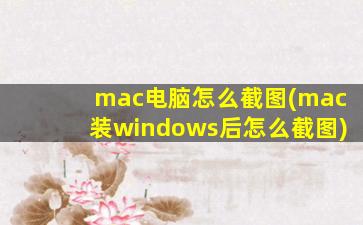 mac电脑怎么截图(mac装windows后怎么截图)