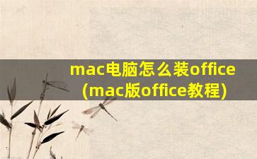 mac电脑怎么装office(mac版office教程)