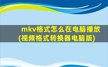 mkv格式怎么在电脑播放(视频格式转换器电脑版)