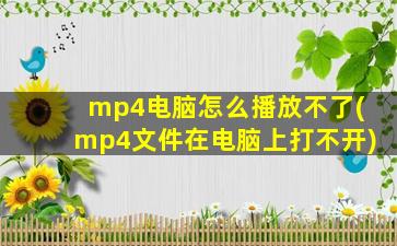 mp4电脑怎么播放不了(mp4文件在电脑上打不开)