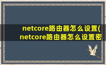 netcore路由器怎么设置(netcore路由器怎么设置密码)