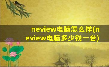 neview电脑怎么样(neview电脑多少钱一台)