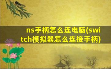 ns手柄怎么连电脑(switch模拟器怎么连接手柄)