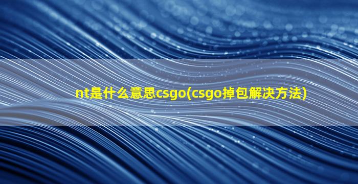 nt是什么意思csgo(csgo掉包解决方法)