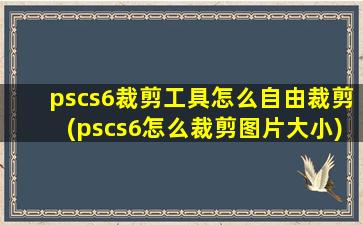 pscs6裁剪工具怎么自由裁剪(pscs6怎么裁剪图片大小)