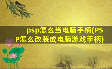 psp怎么当电脑手柄(PSP怎么改装成电脑游戏手柄)