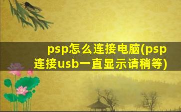 psp怎么连接电脑(psp连接usb一直显示请稍等)