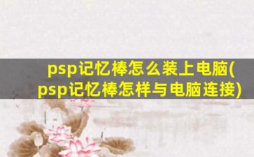 psp记忆棒怎么装上电脑(psp记忆棒怎样与电脑连接)