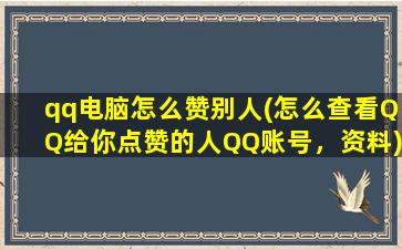 qq电脑怎么赞别人(怎么查看QQ给你点赞的人QQ账号，资料)