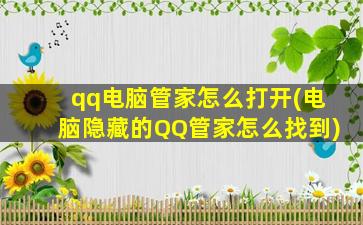 qq电脑管家怎么打开(电脑隐藏的QQ管家怎么找到)