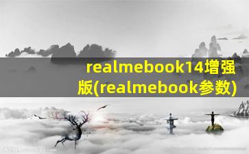 realmebook14增强版(realmebook参数)