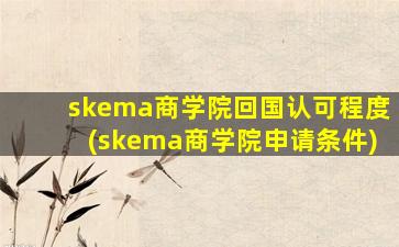 skema商学院回国认可程度(skema商学院申请条件)