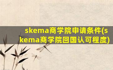 skema商学院申请条件(skema商学院回国认可程度)