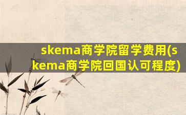 skema商学院留学费用(skema商学院回国认可程度)