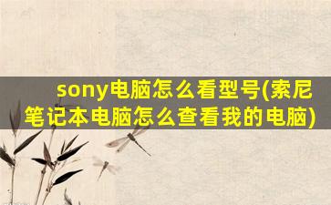 sony电脑怎么看型号(索尼笔记本电脑怎么查看我的电脑)