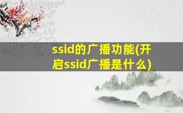 ssid的广播功能(开启ssid广播是什么)