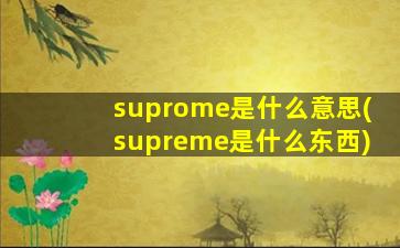 suprome是什么意思(supreme是什么东西)