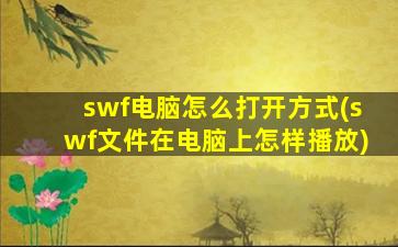 swf电脑怎么打开方式(swf文件在电脑上怎样播放)