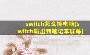 switch怎么接电脑(switch输出到笔记本屏幕)