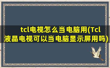 tcl电视怎么当电脑用(Tcl液晶电视可以当电脑显示屏用吗)